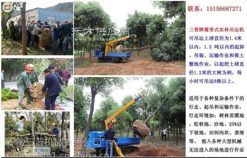 供應高效苗木吊裝機 三普牌履帶式農(nóng)林吊運機助力園林作業(yè)現(xiàn)代化